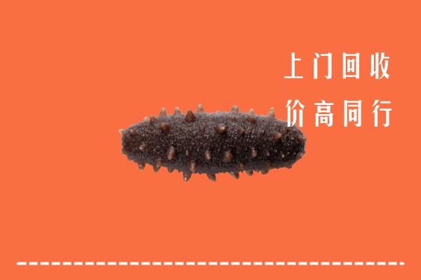 高价求购：洛龙区回收海参