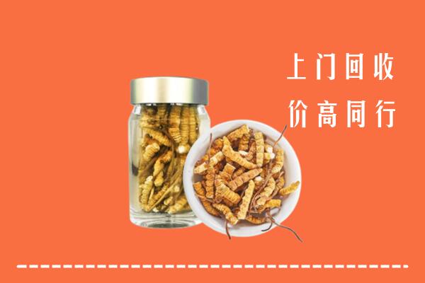 洛龙区回收冬虫夏草
