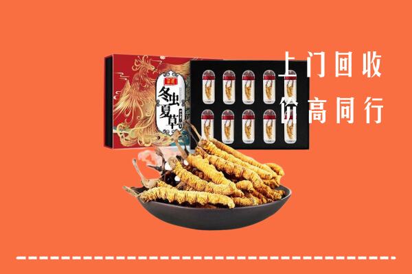 洛龙区回收虫草
